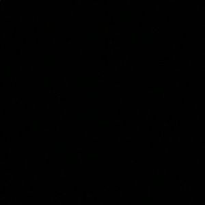 Meet your Posher, Lucy